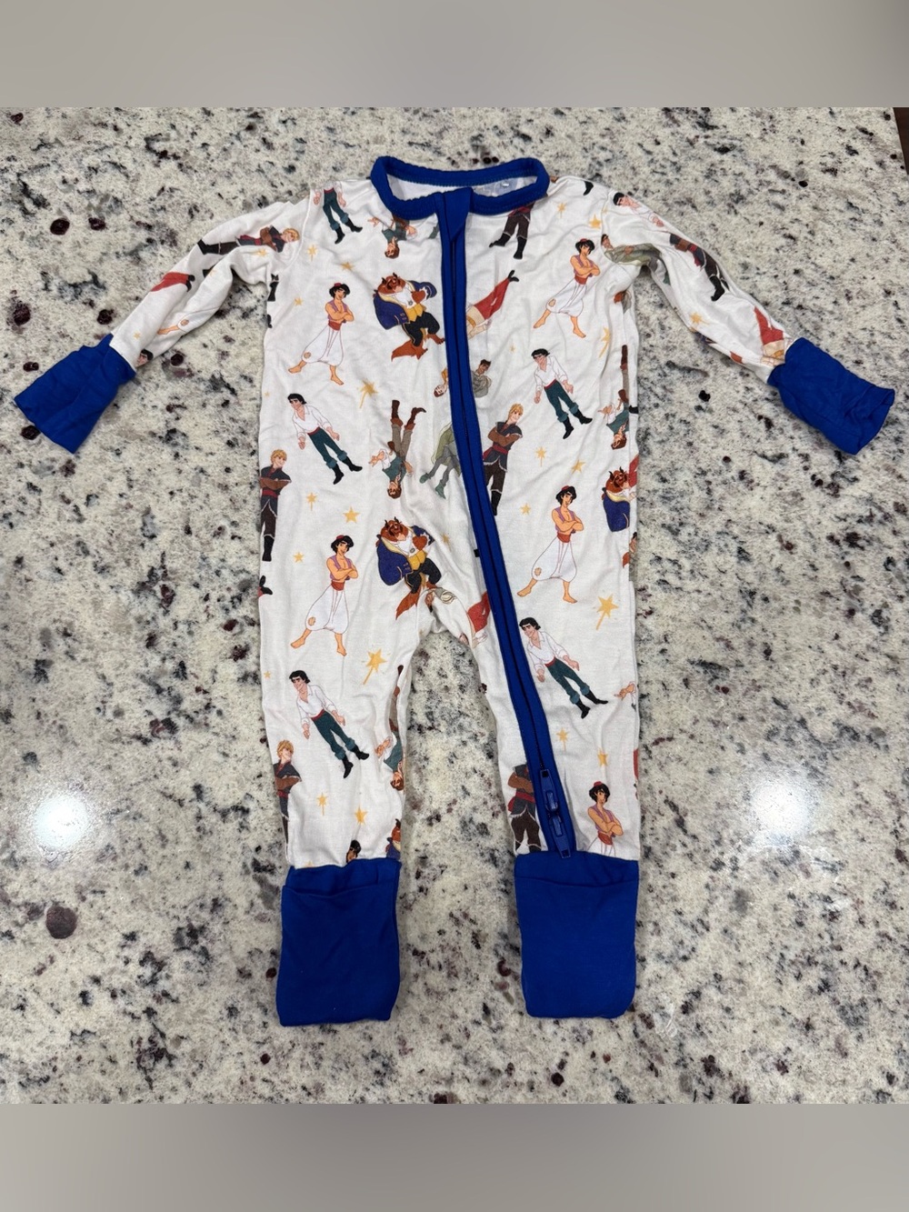 Disney Princes Bamboo Zippy